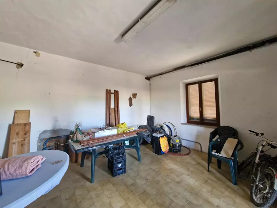 Immagine 17 di Terratetto in vendita  a Campiglia Marittima