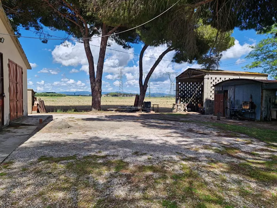 Immagine 22 di Terratetto in vendita  a Campiglia Marittima