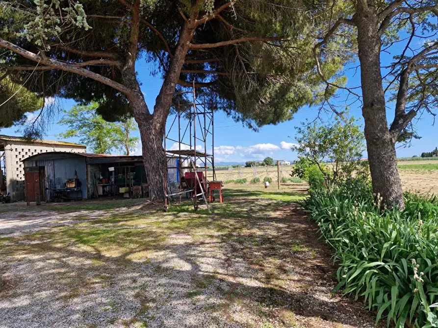 Immagine 21 di Terratetto in vendita  a Campiglia Marittima