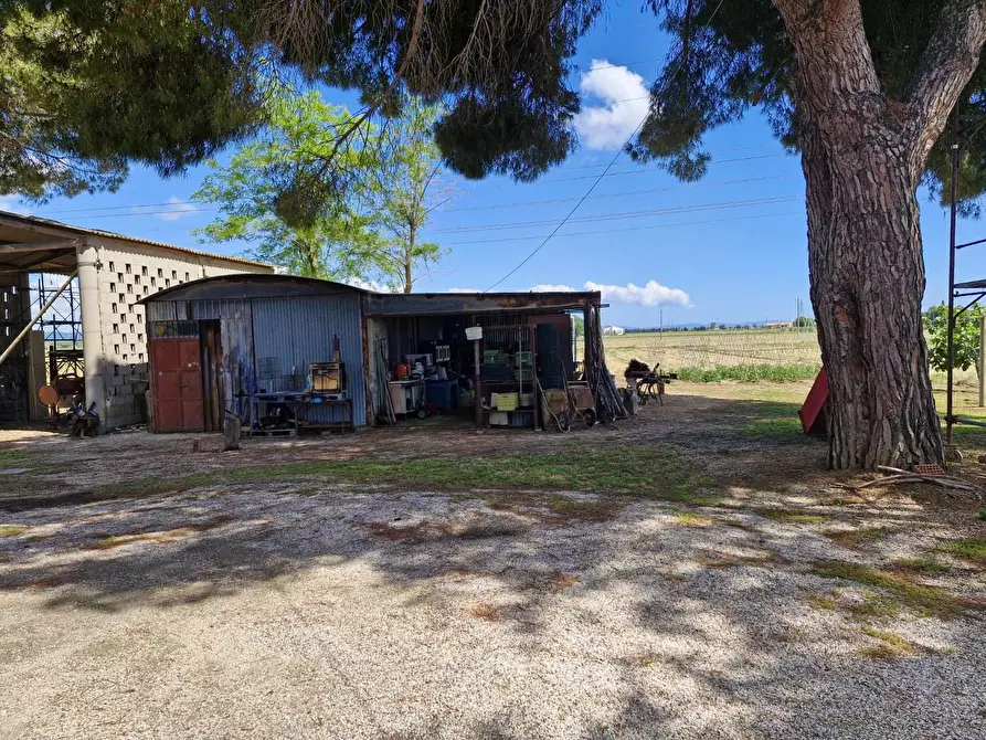Immagine 23 di Terratetto in vendita  a Campiglia Marittima