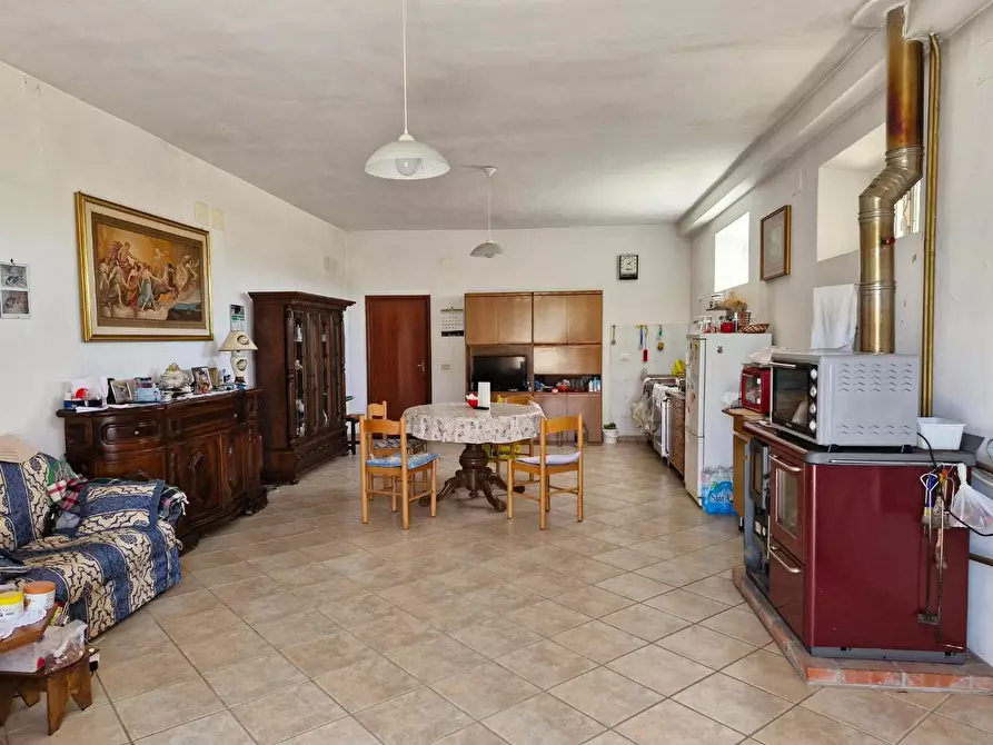 Immagine 19 di Terratetto in vendita  a Campiglia Marittima