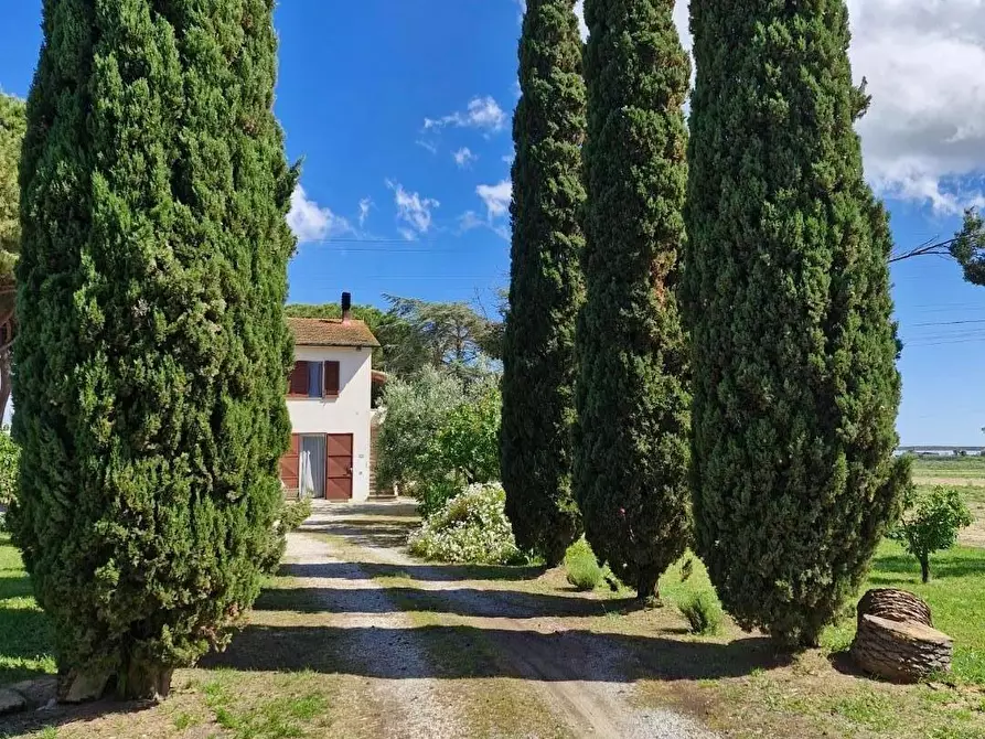 Immagine 2 di Terratetto in vendita  a Campiglia Marittima