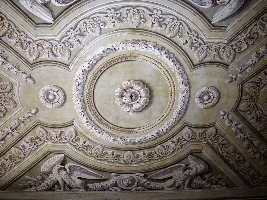 Immagine 6 di Appartamento in vendita  a Carrara