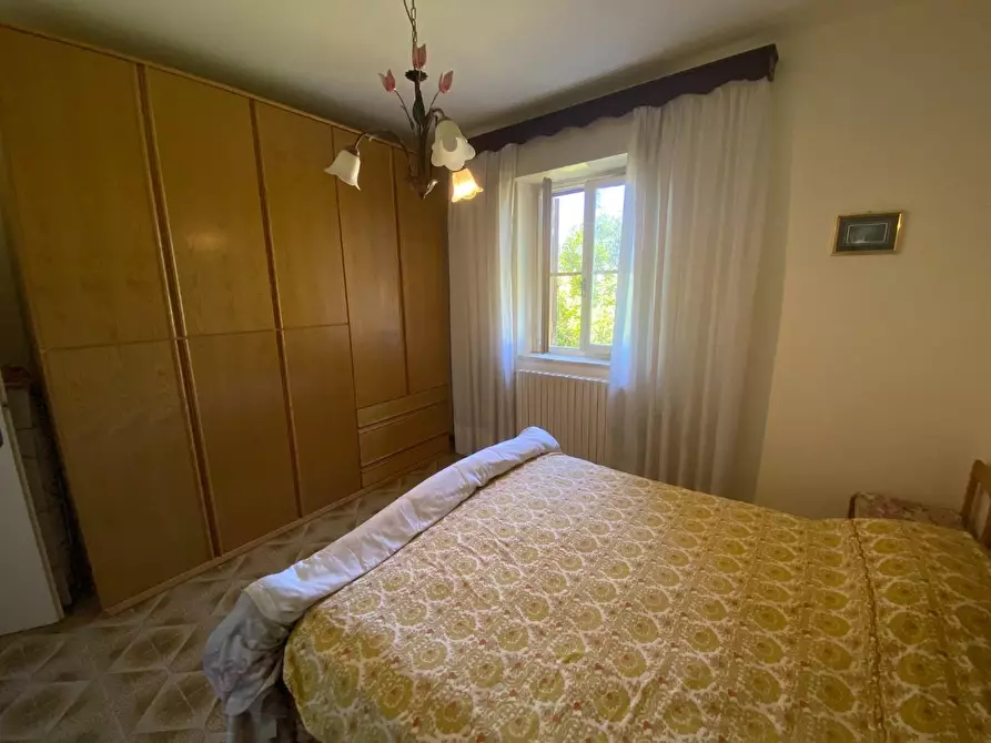 Immagine 25 di Terratetto in vendita  a Campiglia Marittima