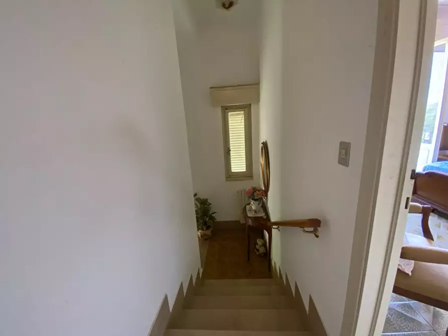 Immagine 23 di Terratetto in vendita  a Campiglia Marittima