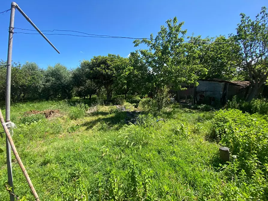 Immagine 33 di Terratetto in vendita  a Campiglia Marittima