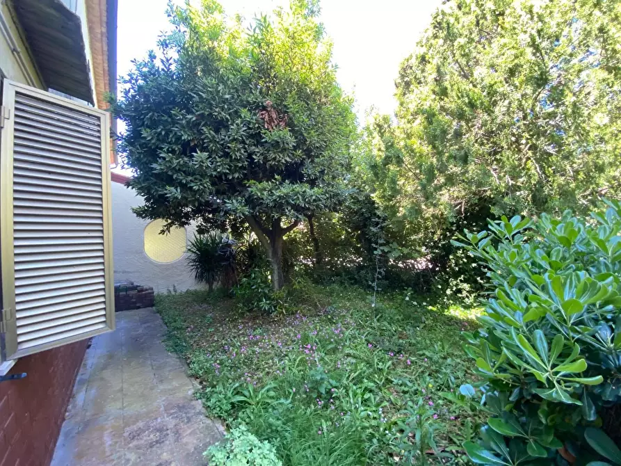 Immagine 29 di Terratetto in vendita  a Campiglia Marittima