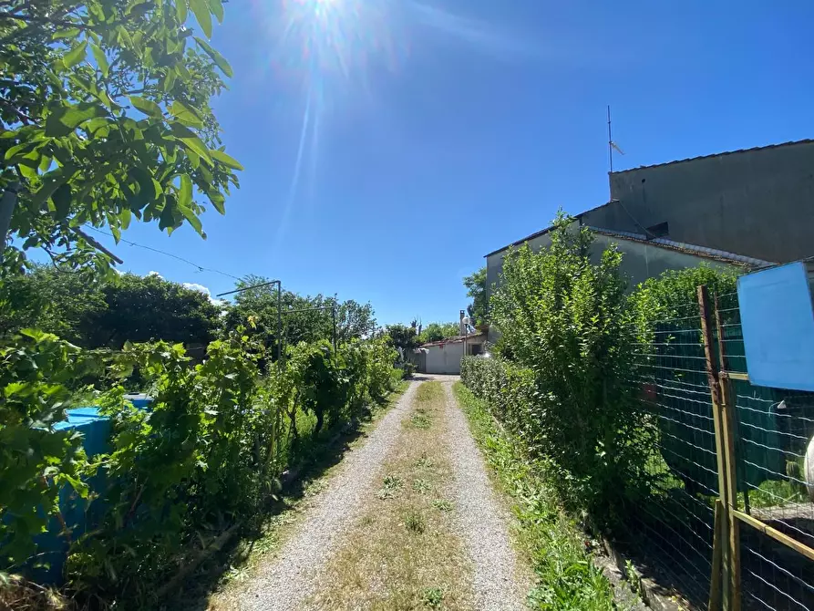Immagine 36 di Terratetto in vendita  a Campiglia Marittima