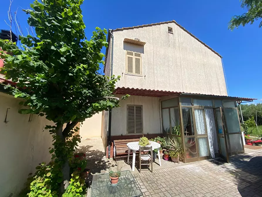 Immagine 35 di Terratetto in vendita  a Campiglia Marittima