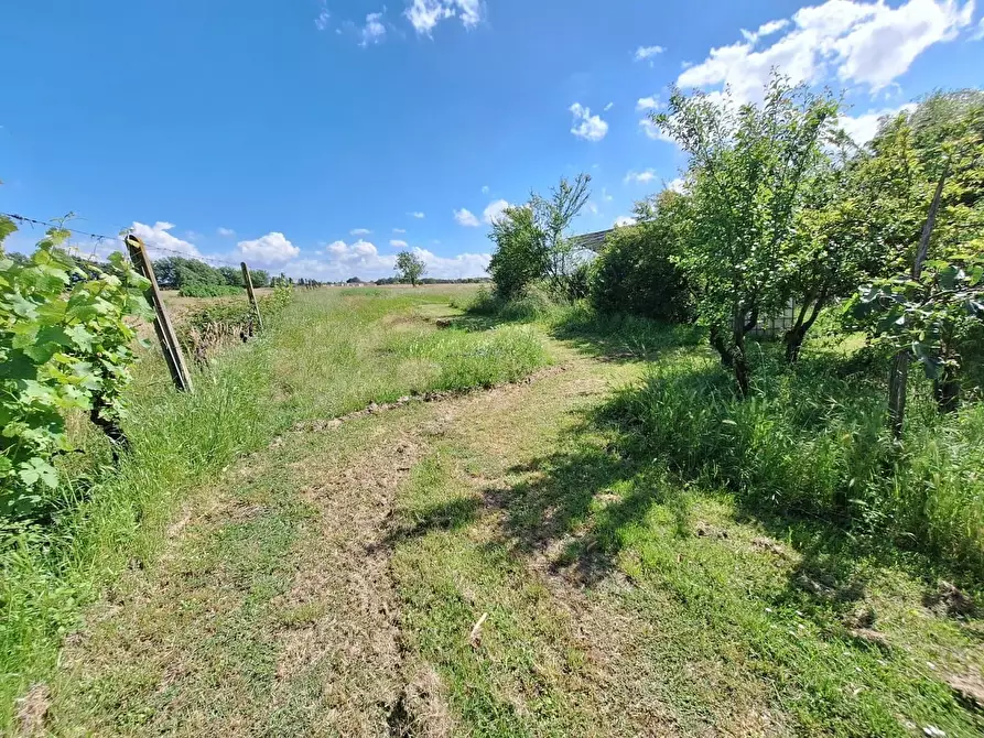 Immagine 43 di Casa semindipendente in vendita  a Castelfranco Di Sotto