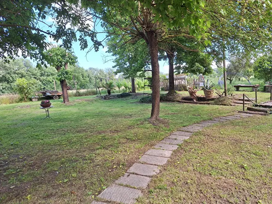 Immagine 6 di Casa semindipendente in vendita  a Castelfranco Di Sotto