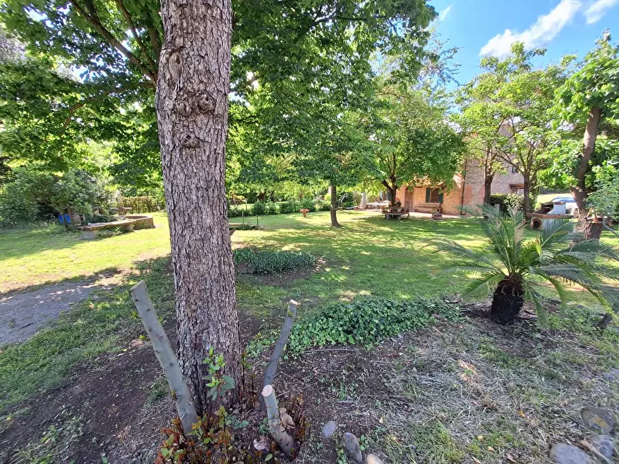 Immagine 45 di Casa semindipendente in vendita  a Castelfranco Di Sotto