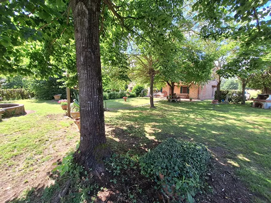 Immagine 42 di Casa semindipendente in vendita  a Castelfranco Di Sotto