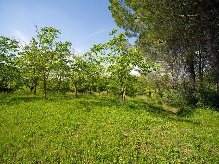 Immagine 43 di Porzione di casa in vendita  a Casciana Terme Lari
