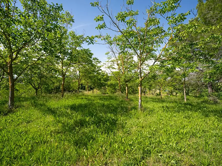Immagine 42 di Porzione di casa in vendita  a Casciana Terme Lari