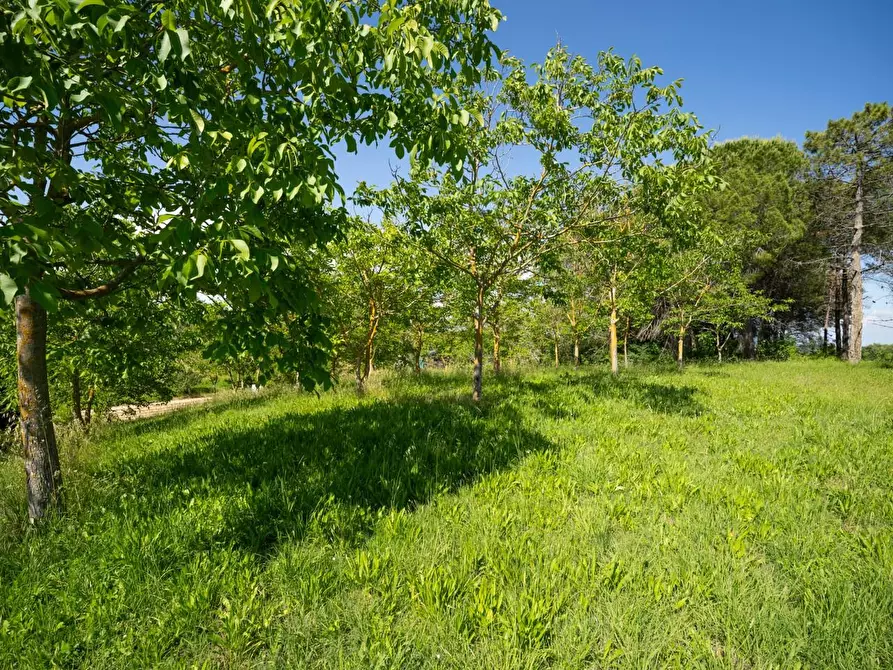 Immagine 41 di Porzione di casa in vendita  a Casciana Terme Lari