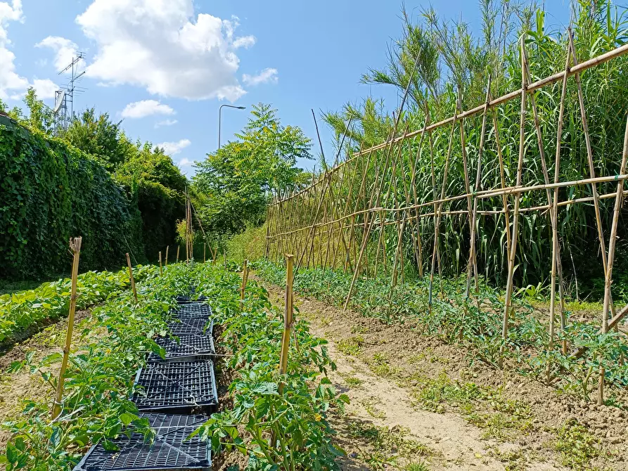 Immagine 32 di Deposito in vendita  a Castelfiorentino