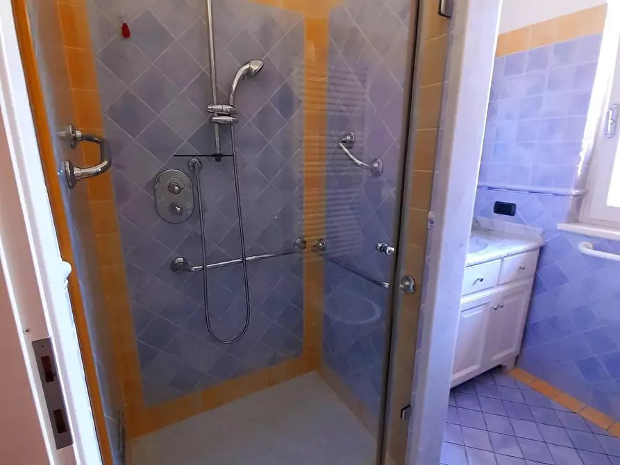 Immagine 23 di Villa in vendita  a Pietrasanta