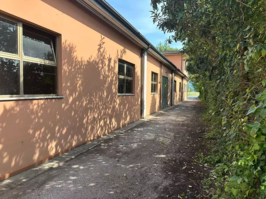 Immagine 2 di Capannone industriale in affitto  a Capannori