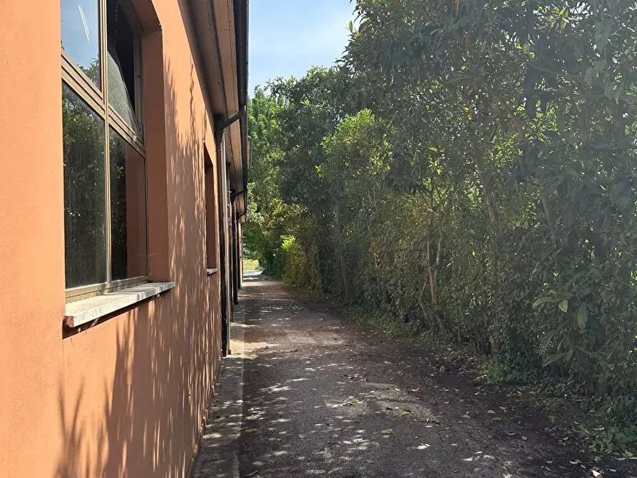 Immagine 4 di Capannone industriale in affitto  a Capannori