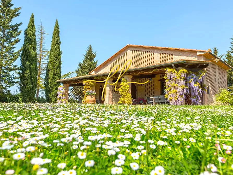 Immagine 14 di Agriturismo in vendita  a Peccioli
