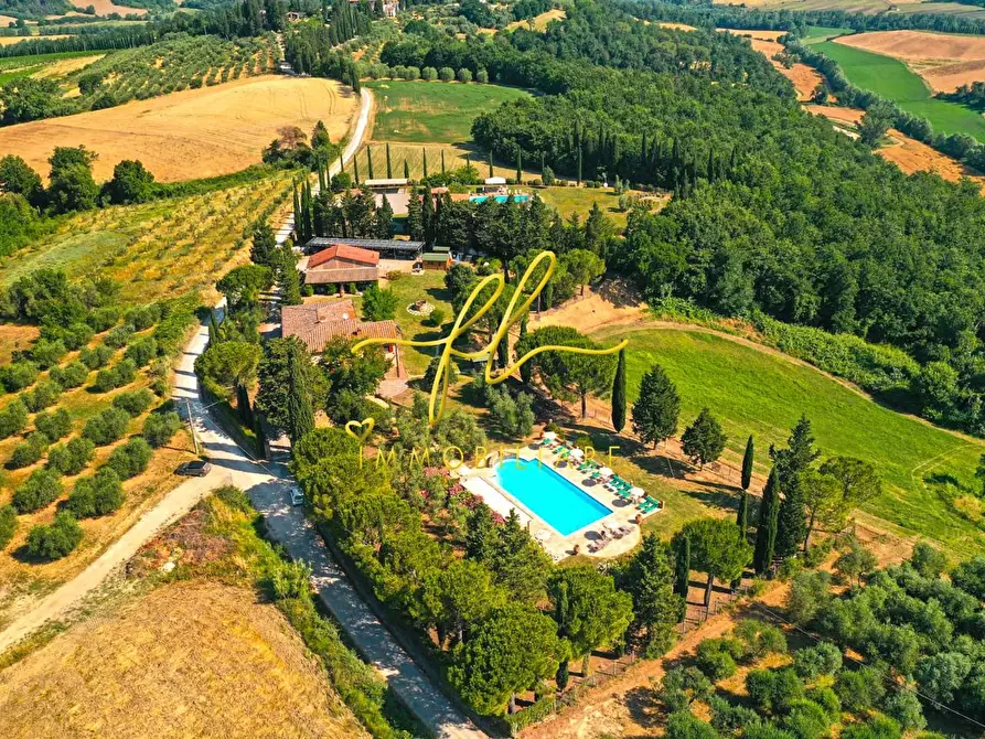 Immagine 11 di Agriturismo in vendita  a Peccioli