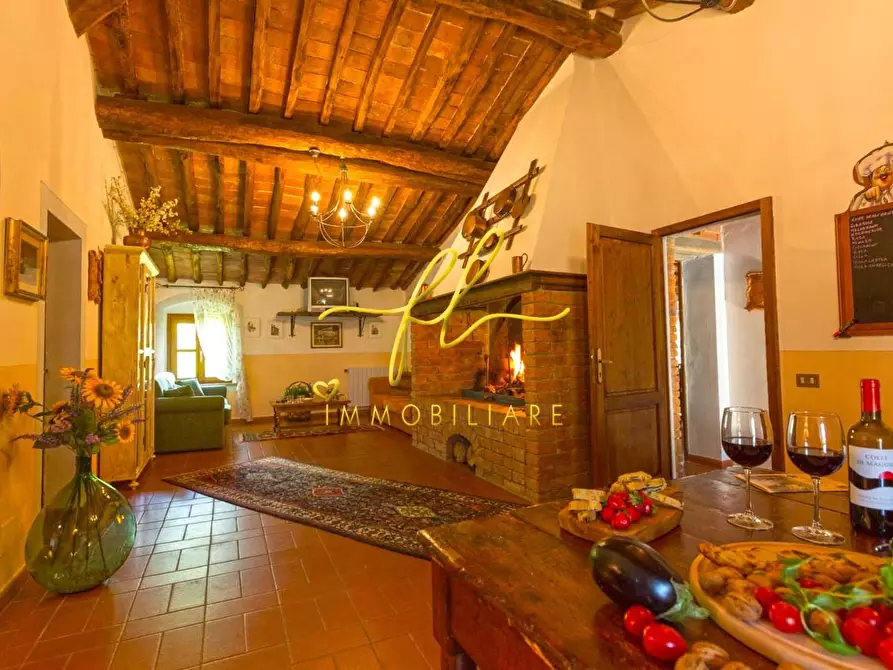 Immagine 50 di Agriturismo in vendita  a Peccioli