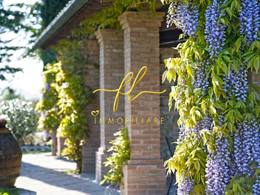 Immagine 16 di Agriturismo in vendita  a Peccioli