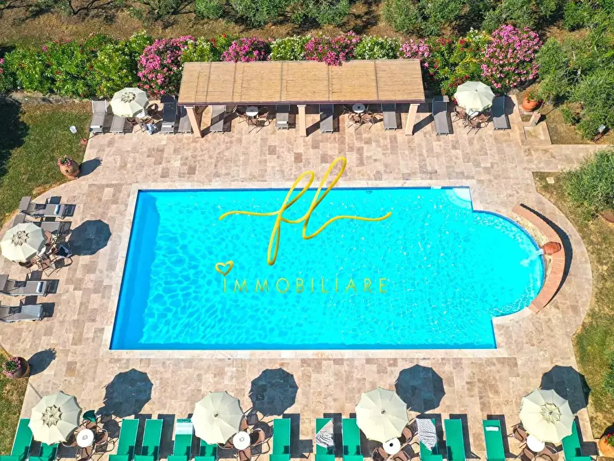 Immagine 24 di Agriturismo in vendita  a Peccioli