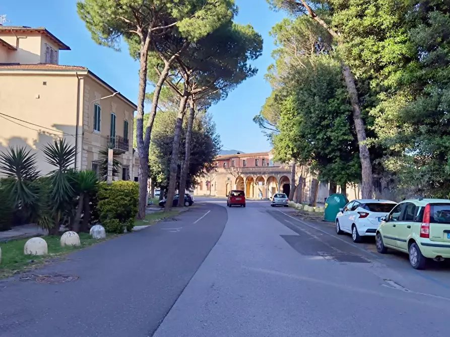 Immagine 51 di Terratetto in vendita  a Pisa