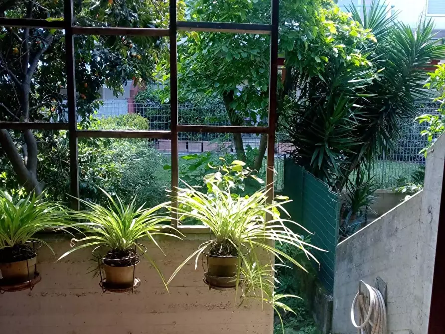 Immagine 25 di Villetta a schiera in vendita  a Carrara