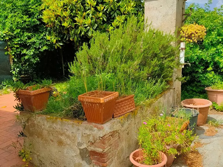 Immagine 1 di Terratetto in vendita  a Cascina