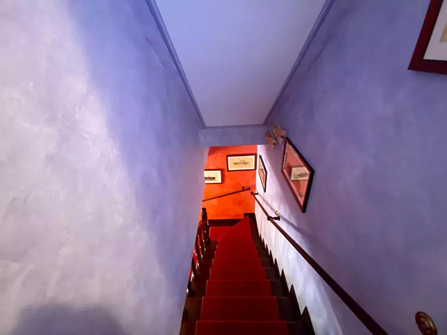 Immagine 13 di Casa quadrifamiliare in vendita  a Pietrasanta