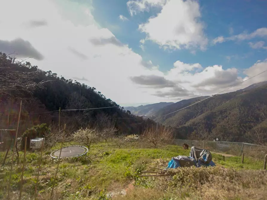 Immagine 5 di Casa bifamiliare in vendita  a Massa