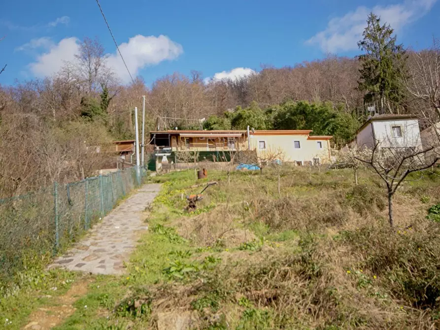 Immagine 3 di Casa bifamiliare in vendita  a Massa