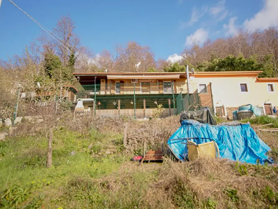 Immagine 4 di Casa bifamiliare in vendita  a Massa