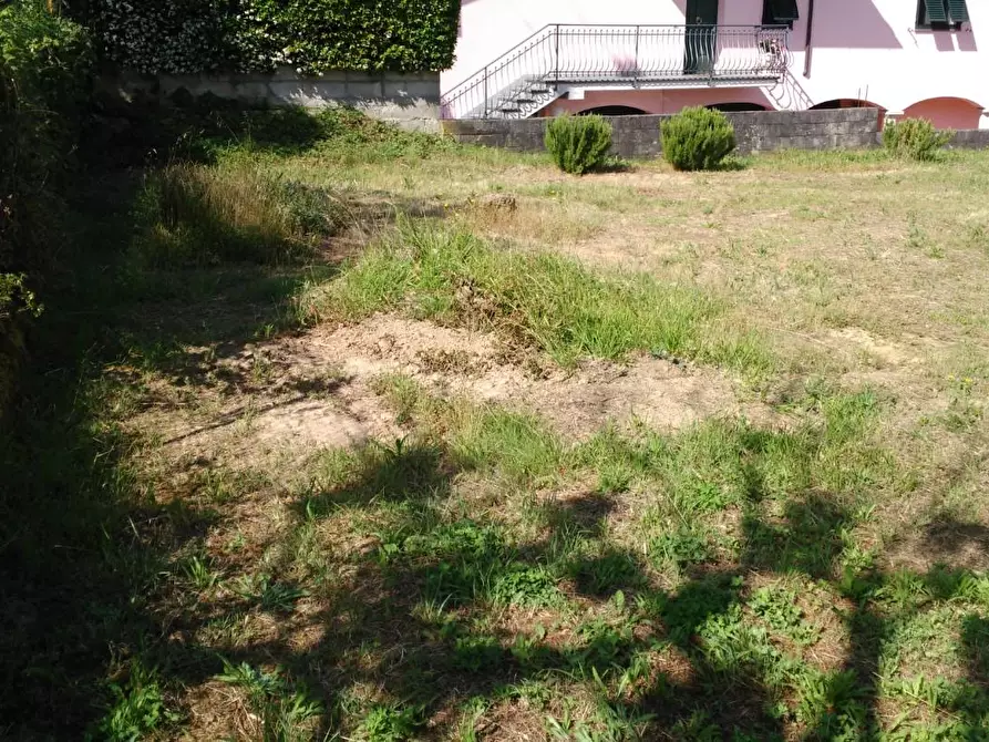 Immagine 1 di Terreno residenziale in vendita  a Terricciola