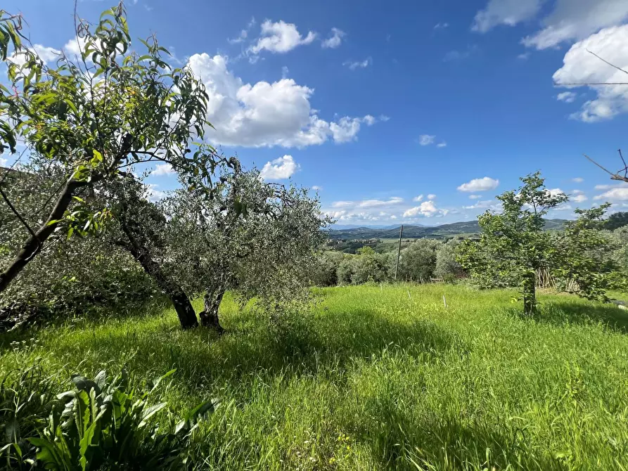 Immagine 26 di Appartamento in vendita  a Montespertoli