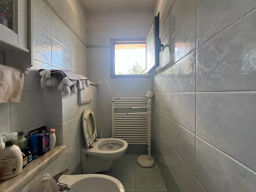 Immagine 15 di Appartamento in vendita  a Montespertoli