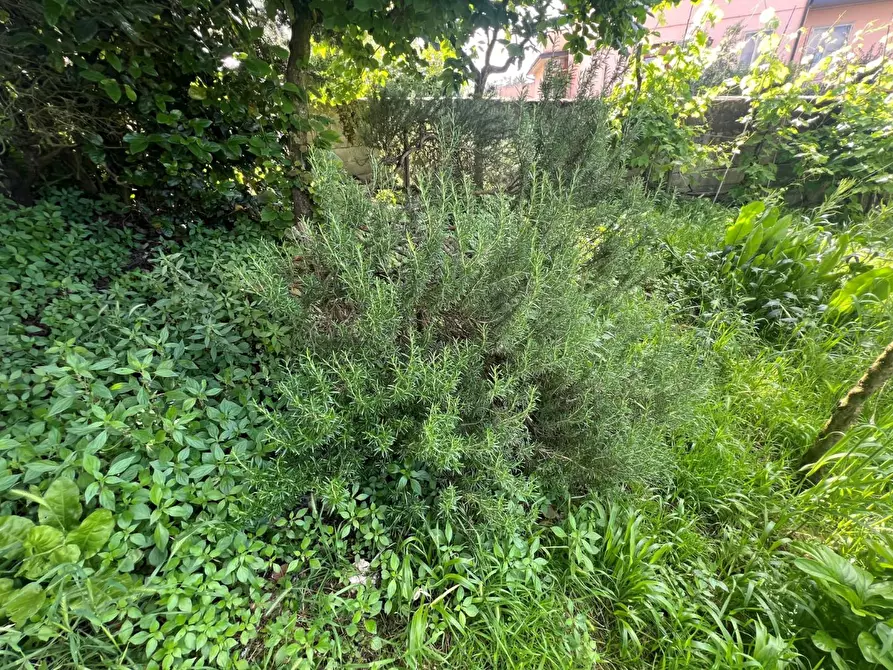 Immagine 31 di Appartamento in vendita  a Montespertoli