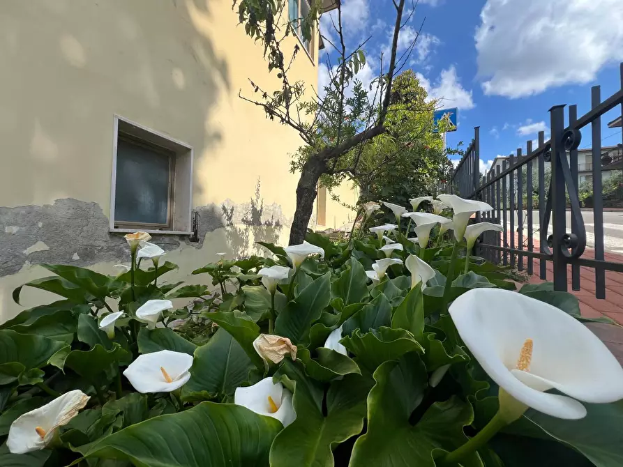 Immagine 2 di Appartamento in vendita  a Montespertoli