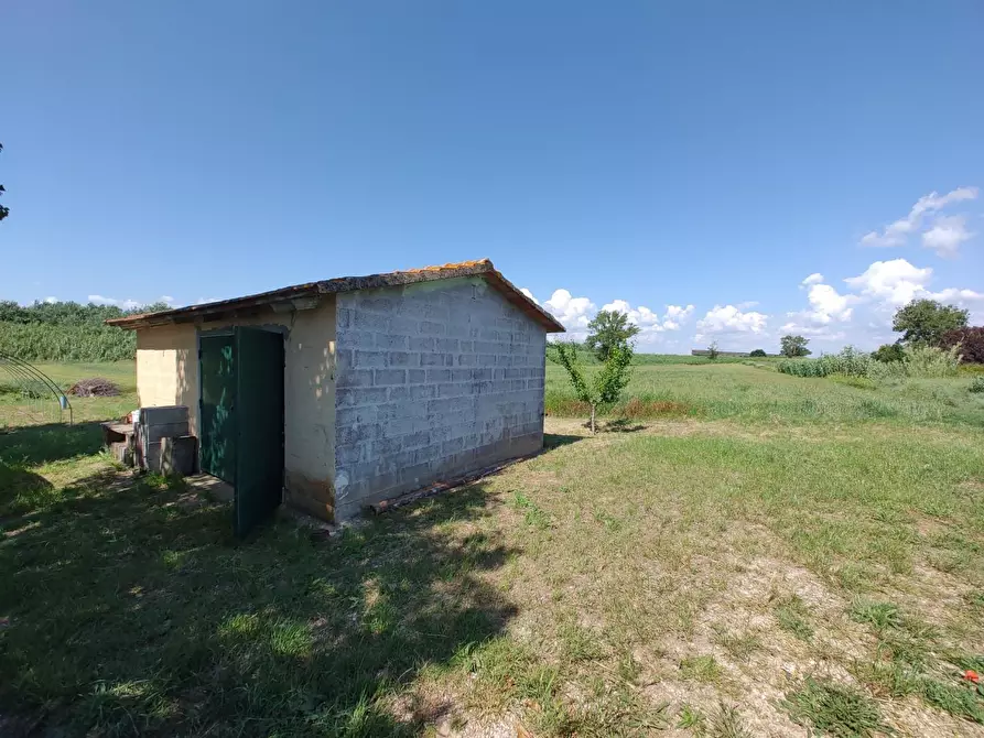 Immagine 1 di Terreno agricolo in vendita  a Collesalvetti