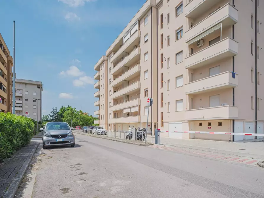 Immagine 20 di Appartamento in affitto  a Pisa