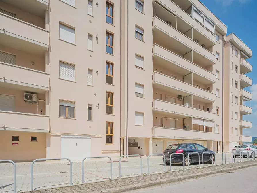 Immagine 21 di Appartamento in affitto  a Pisa