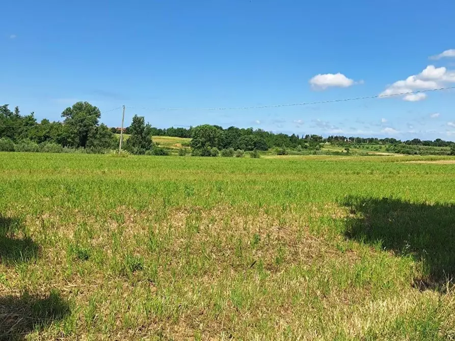 Immagine 1 di Terreno agricolo in vendita  a Collesalvetti