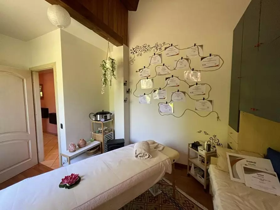 Immagine 22 di Villa in vendita  a Lucca