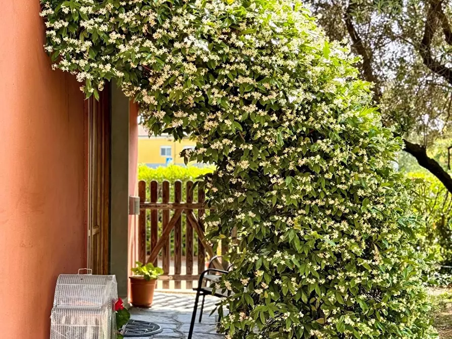 Immagine 10 di Appartamento in vendita  a Lucca