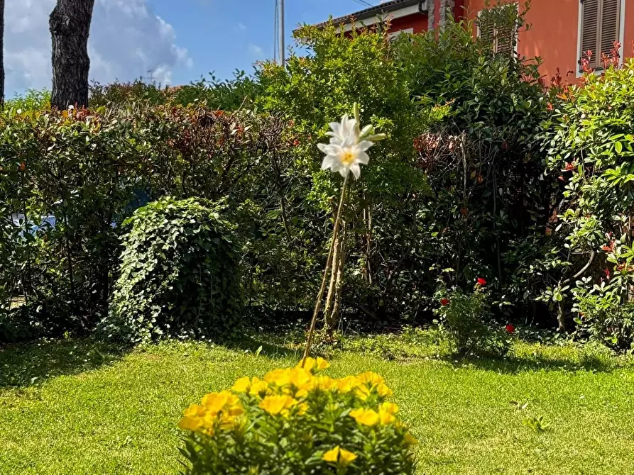 Immagine 8 di Appartamento in vendita  a Lucca