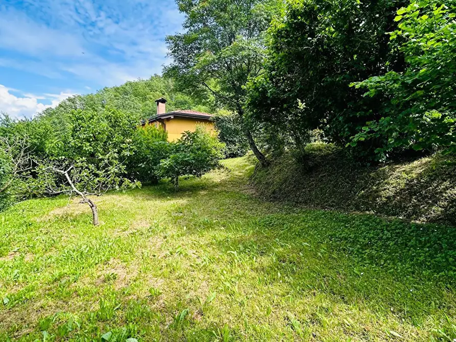 Immagine 48 di Casa semindipendente in vendita  a Aulla