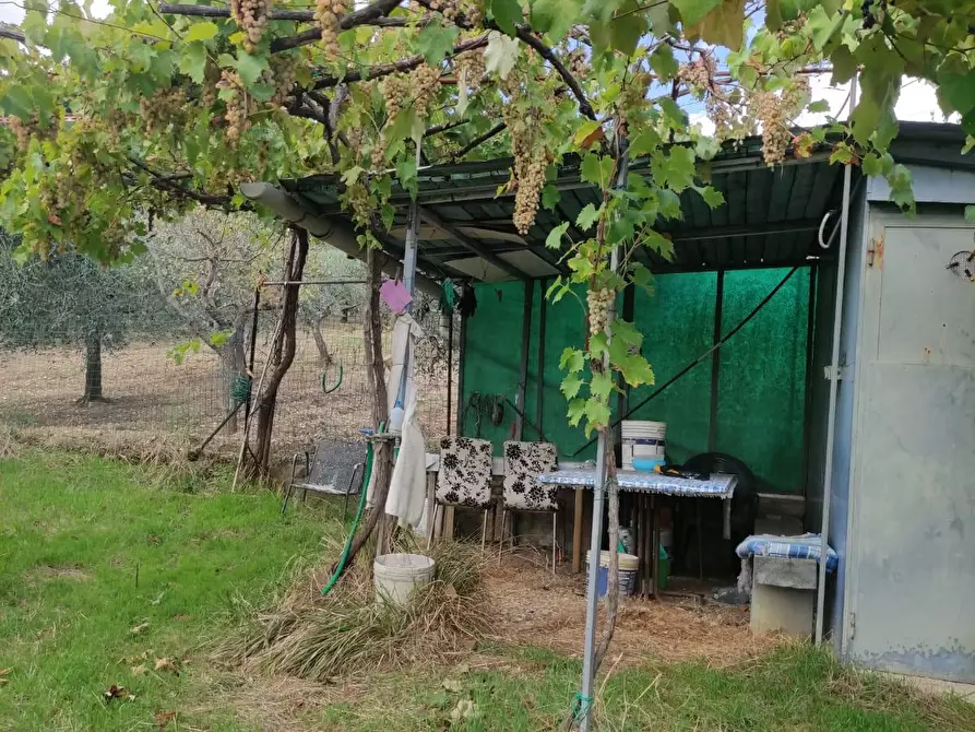 Immagine 25 di Terreno agricolo in vendita  a Sesto Fiorentino